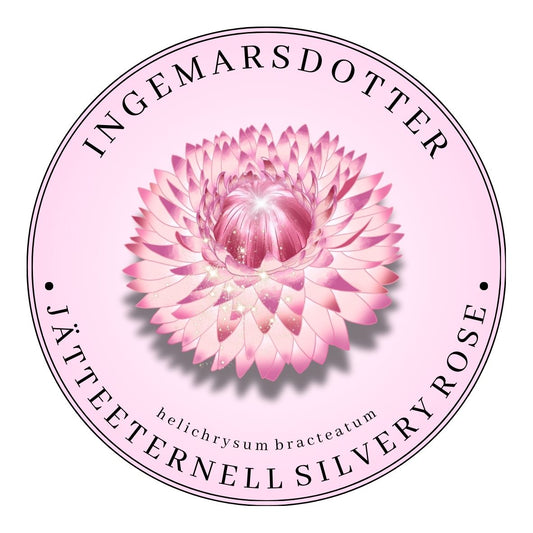 Jätteeternell Silvery Rose