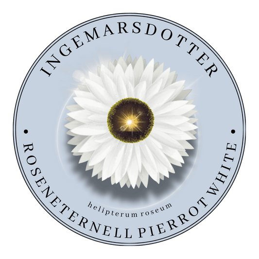 Roseneternell Pierrot White