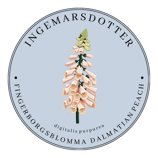 Fingerborgsblomma dalmatian peach digitalis